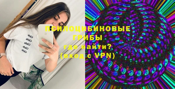 молекула духа Лагань