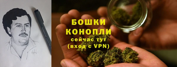 спайс Кулебаки