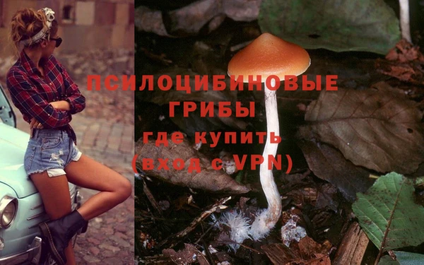 спайс Кукмор