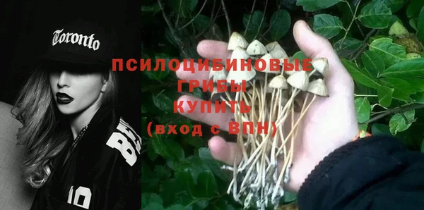 кокаин Ладушкин